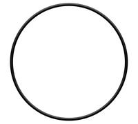 sera pond O-Ring para bloque de motor para PP 12000, 1 ud.