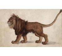 SERENDIPITP Impresión Imagen Modernos Cuadro Pintura al óleo Clásicas León de Alberto Durero para Decoraciones del Hogar 60x90cm
