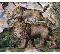 SERENDIPITP Impresión Imagen Modernos Cuadro Pintura al óleo Clásicas León y Bestia de William Blake para Decoraciones del Hogar 60x90cm