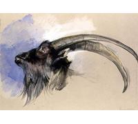 SERENDIPITP Lienzo Poster Cuadro Moderno Impresión Lienzo Impresión Pintura Cabeza de Steinbock de John Frederick Lewis para Decoración de Paredes 60x90cm