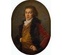 SERENDIPITP Lienzo Poster Cuadro Moderno Impresión Lienzo Impresión Pintura Retrato de Ofgrigory Alexandrovich Stroganov Elisabeth Louise Vigee Lebrun para Decoración de Paredes 60x90cm