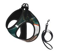 Serenity Lake Camping Print - Arnés para perro pequeño con correa, no Escape Easy Walk arneses para cachorros para entrenamiento y caminar