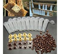 Serenophile Kit de crianza Queen, suministros de apicultura, juego de jaula Queen, sin sistema de injerto, 100 vasos celulares para el manejo de colmenas