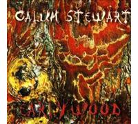 Sergei Rachmaninov Piano Concerto No. 2 (Rubinstein) (CD) (Importación USA)