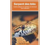 Serpent des blés : Guide pratique du maintien en terrarium pour débutant