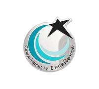 Servicio de reconocimiento de compromiso con la excelencia de la pinmart Star Pin de solapa