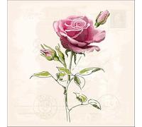 Servietten Blumen 20 rosas vintage para manualidades, decoración de mesa, 33 x 33 cm