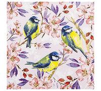 Servilleta "Meisenglück"