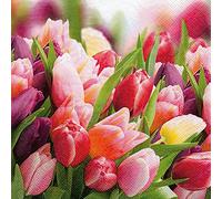 Servilletas 33 x 33 cm 20 ST.