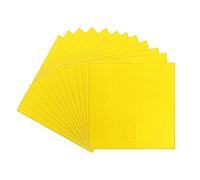 Servilletas amarillas desechables de 33 cm, 20 servilletas de papel de 2 capas de color liso, para fiestas, bebidas, almuerzo, cena, cóctel, bar, servilleta para niños, adultos, cumpleaños, barbacoa