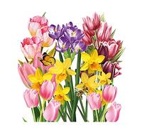 SERVILLETAS AMBIENTE 33x33cm 20 UD SPRING GARDEN