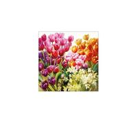 SERVILLETAS AMBIENTE 33x33cm 20 UD TULIPANES