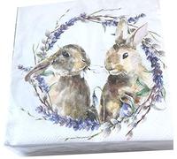 Servilletas de conejo de 20 unidades, 13 x 13 unidades, corona, servilletas de papel de Pascua, servilletas de cóctel de Pascua, servilletas de almuerzo, bebidas, servilletas de baño, servilletas desechables para invitados, servilletas decorativas para decoupage