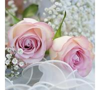 Servilletas de papel 33 x 33 cm, 3 capas, 20 unidades de boda (rosa blanco)