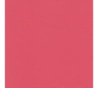 Servilletas de papel 38 x 38 cm, 2 capas, pliegue 1/4, 30 unidades, servilletas de papel desechables, servilletas de almuerzo, servilletas de mesa para bodas, cumpleaños, Pascua, fiestas, gastronomía