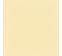 Servilletas de papel 38 x 38 cm, 2 capas, pliegue 1/4, 30 unidades, servilletas de papel desechables, servilletas de almuerzo, servilletas de mesa para bodas, cumpleaños, Pascua, gastronomía, catering