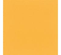 Servilletas de papel 38 x 38 cm, 2 capas, pliegue 1/4, 30 unidades, servilletas de papel desechables, servilletas de almuerzo, servilletas de mesa para cumpleaños, bodas, Pascua, fiestas, gastronomía