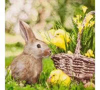 Servilletas de papel con diseño de conejo de Pascua con pollitos en la cesta, servilletas de papel con diseño. También para decoupage y decoupage (33 x 33 cm)