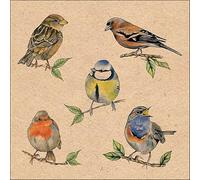 Servilletas de papel con diseño de pájaros de casa (20 unidades, 33 x 33 cm)
