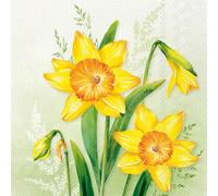 Servilletas de papel con diseño primaveral de narcisos grandes en verde claro como decoración de mesa. Servilletas de papel con diseño. También para decoupage y decoupage (33 x 33 cm)