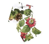 Servilletas de papel de 20 unidades, diseño floral, estampado de pájaros de peonía decorativos, decoupage, cena, fiesta, ducha (passiflora caerulea L)