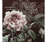 Servilletas de papel de colores, 20 paquetes de servilletas Shabby Chic para boda, cena, fiesta del té y ducha, color rojo oscuro