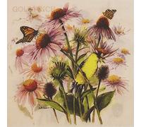 Servilletas de Papel de Colores, 20 Servilletas Shabby Chic para Boda, Cena, despedida de soltera/bebé, Partido del Té Cocktail Napkins (Daisy)