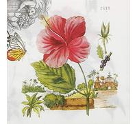 Servilletas de Papel de Colores, 20 Servilletas Shabby Chic para Boda, Cena, despedida de soltera/bebé, Partido del Té Cocktail Napkins (Chinese Hibiscus & Nestel)