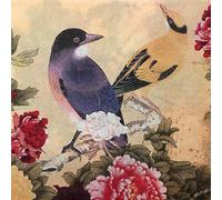 Servilletas de Papel de Colores, 20 Servilletas Shabby Chic para Boda, Cena, Partido del Té, despedida de soltera/bebé (Magpie & Peony)