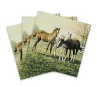 Servilletas de papel de colores, 20 servilletas Shabby Chic para bodas, cenas, fiestas de té, ducha, caballo