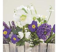 Servilletas de papel de seda de 3 capas con diseño de flores primaverales para decoupage, 33 cm x 33 cm, paquete de 20 (flores detrás de la valla de madera)