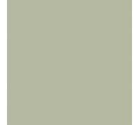 Servilletas De Papel Duni 33 X 33CM Verde Pistacho 3 Capas 250 Piezas
