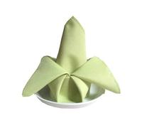 Servilletas De Tela 10pcs 48cm*48cm Satin Napkin Serving Table Decor Dinner Towel For Wedding Party Home Hotel Christmas Napkins(Grass Green)