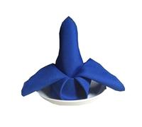 Servilletas De Tela 10pcs 48cm*48cm Satin Napkin Serving Table Decor Dinner Towel For Wedding Party Home Hotel Christmas Napkins(Royal Blue)