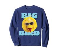 Sesame Street Big Bird Cool Face Pose, Tonos clásicos de Verano Sudadera