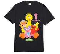 Sesame Street Birthday Crew Elmo and Friends 1st Birthday Comfort Colors Adult Heavyweight T-Shirt