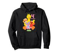 Sesame Street Birthday Crew Elmo and Friends 4th Birthday Sudadera con Capucha