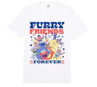 Sesame Street Furry Friends Forever Group Comfort Colors Adult Heavyweight T-Shirt
