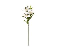 Set 12 varas liliums Blancos de 3 Cabezas 65 cm