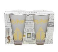 Stor Juego de 2 Vasos de Agua de Cristal de 490 ml de Harry Potter
