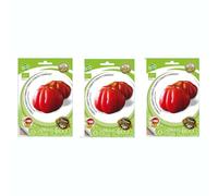 Set 3 Sobres de Semillas de Tomate Corazón de Buey para Cultivar en el Hogar en Primavera y Verano