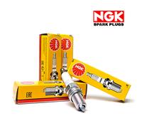 Set 4 Bujías NGK para Fiat Seicento Panda (141) Un Quinientos Punto (176)