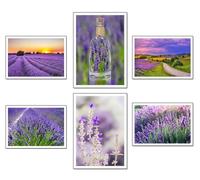 Set 6 cuadros base madera, Decoración Salón Modernos, Dormitorios, Habitación, paisaje, naturaleza, Campos Lavanda Brihuega con colgadores metálicos, (38 x 29 cm cada cuadro)