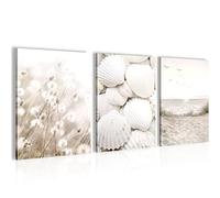 Set Cuadros Decorativos Conchas - Cuelgue su cuadro al instante - Arena - 3 Partes - N001735a