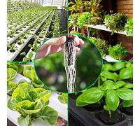 Set Cultivo Hidropónico, 162pz Juego Esponjas Repuesto 30 Esponjas Crecimiento/Cestas Cultivo/Cúpulas Cultivo/Adhesivos Vainas/Adhesivos Cúpulas Cultivo 10 Tapas Agujeros 1 par Pinzas 1 Botella Spray