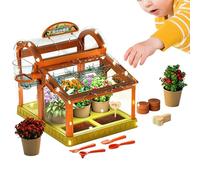 Set Cultivo Invernadero Juguete Educativo Ciencia