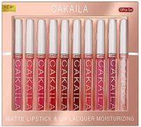 Set de 10 colores de barra de labios líquida mate, barra de labios líquida aterciopelada y desnuda, set de brillo de labios de larga duración e hidratante (#01)