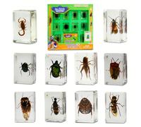 Set de 10 espec menes de insectos Geoworld: escarabajos, escorpiones, grillos y otros animales de resina, con lupa y folleto. Ideal para proyecto