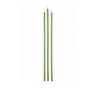 Set de 12 velas de cera con tallo, diámetro 0,9 cm, altura 37 cm - Color Verde Musgo - Duración 3 horas - Cereria Di Giorgio