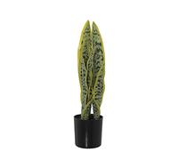 Set de 2 Plantas Artificiales Dracena (Sansevieria) de Polietileno y Tela en Verde 42cm